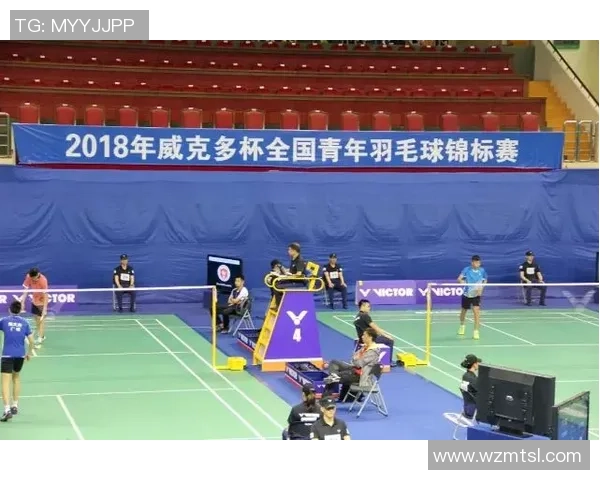 武汉羽毛球队奋斗历程的真实记录与精神传承